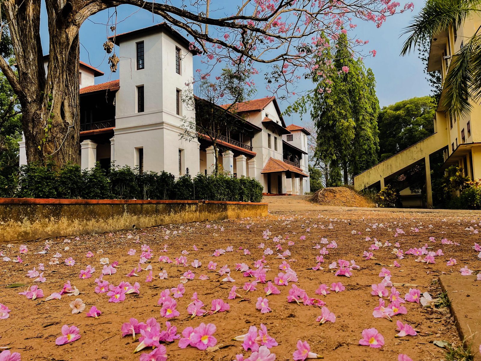 Union Christian College heritage building with flowering trees
